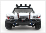 1:18 High-Speed Off-Road Remote Control Car Model