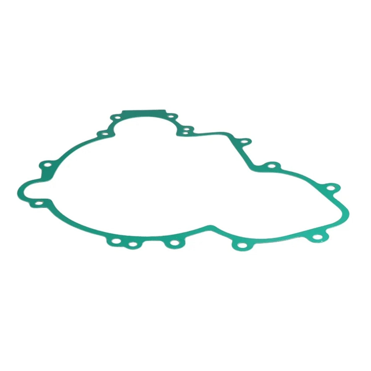 Stator Cover Gasket for Polaris Ranger, RZR & General – view 6